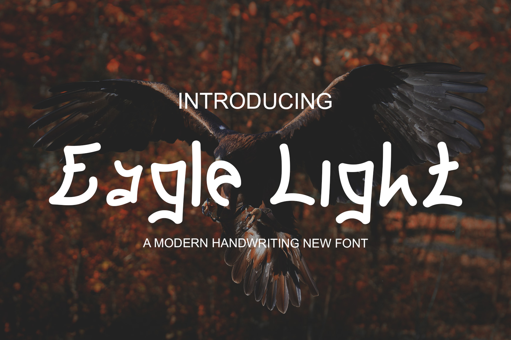Eagle Light